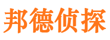 卢湾侦探公司